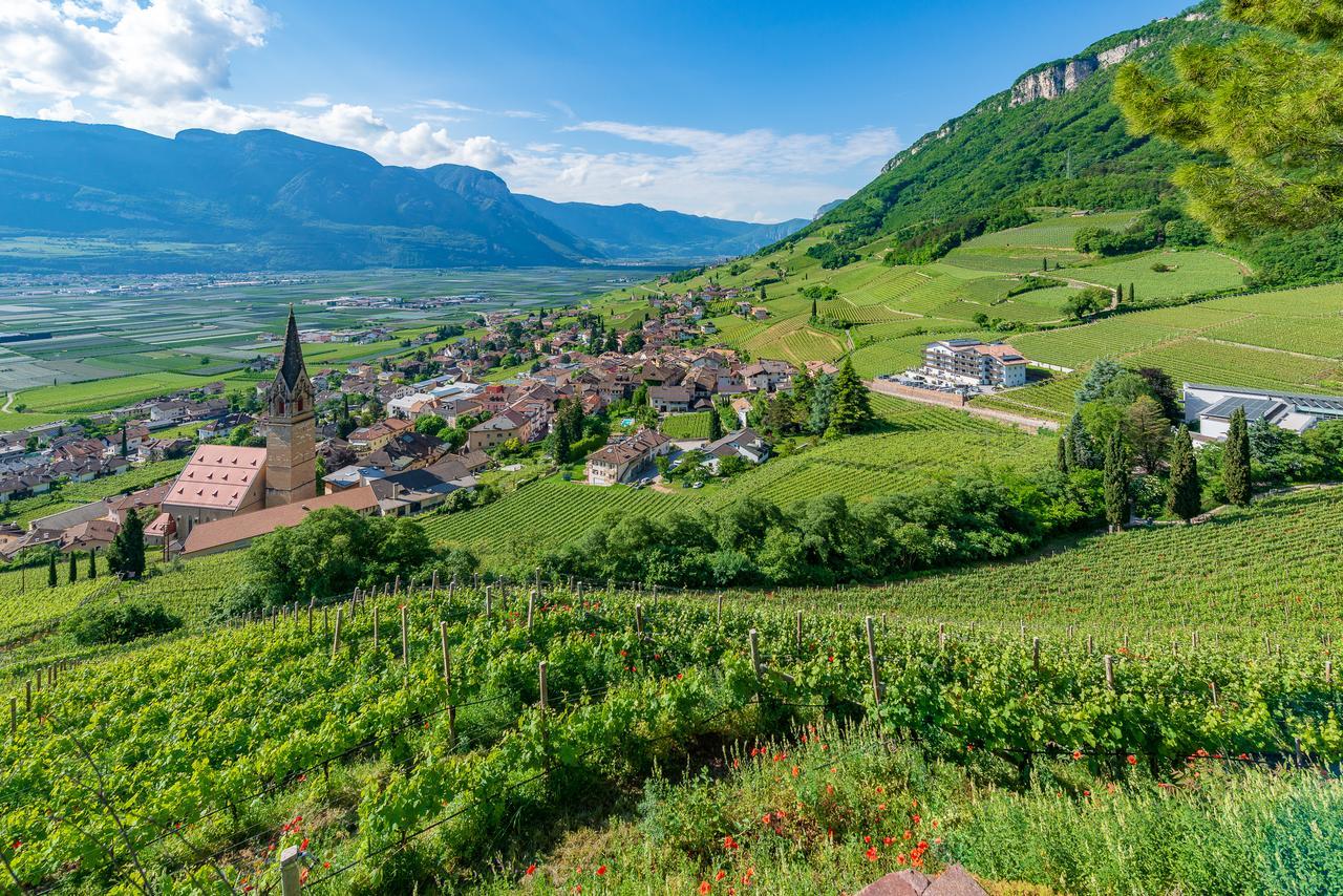 Vineus Tramin Hotel Termeno